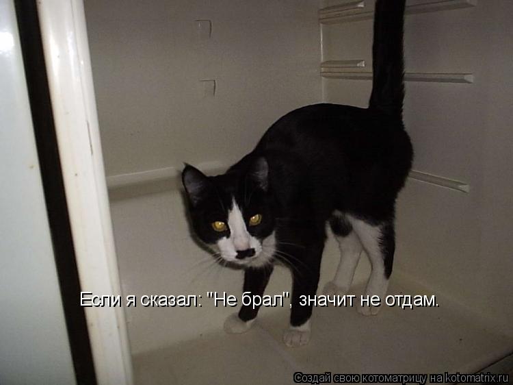 Если я сказал: "Не брал", значит не отдам.... Котоматрица: Если я сказал: "Не брал", значит не отдам.