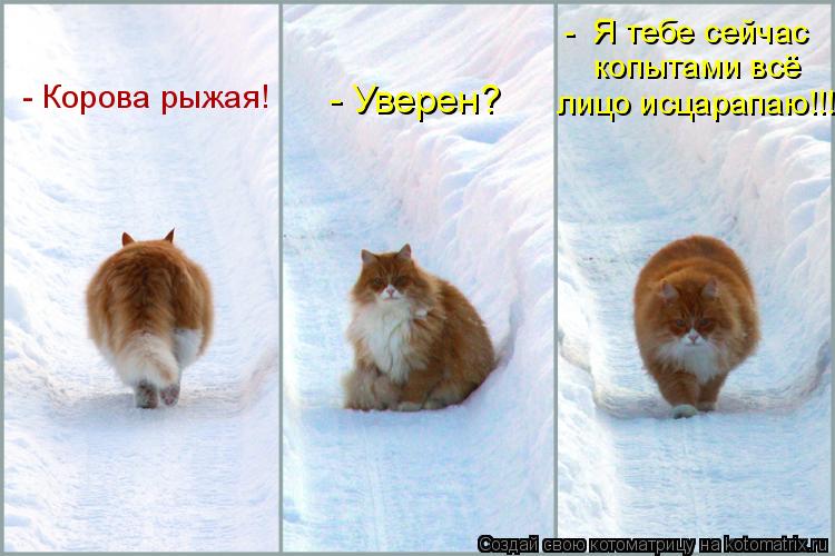 - Уверен? - Я тебе сейчас копытами всё лицо исцарапаю!!! - Корова рыжая!... Котоматрица: - Уверен? - Я тебе сейчас копытами всё лицо исцарапаю!!! - Корова рыжая!