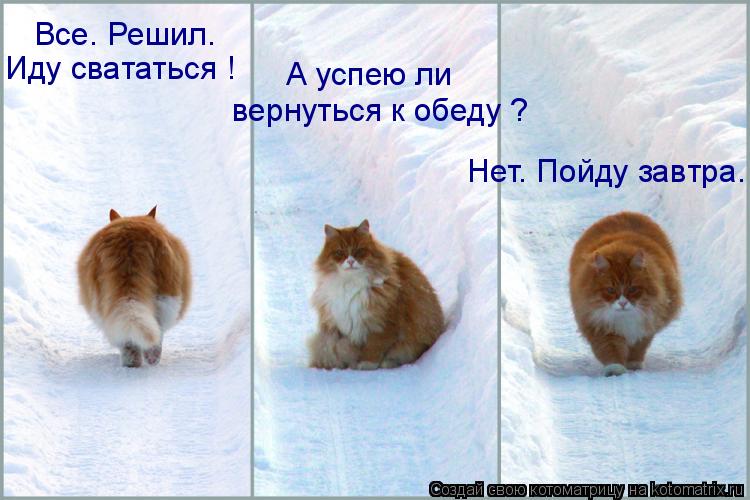 Все. Решил. Иду свататься ! А успею ли вернуться к обеду ? Нет. Пойду завтра.... Котоматрица: Все. Решил. Иду свататься ! А успею ли вернуться к обеду ? Нет. Пойду завтра.
