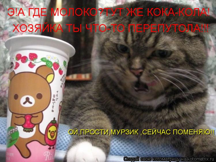 Э!А ГДЕ МОЛОКО?ТУТ ЖЕ КОКА-КОЛА! ХОЗЯЙКА ТЫ ЧТО-ТО ПЕРЕПУТОЛА!!! ОЙ,ПРОСТИ,МУРЗИК ,СЕЙЧАС ПОМЕНЯЮ!!... Котоматрица: Э!А ГДЕ МОЛОКО?ТУТ ЖЕ КОКА-КОЛА! ХОЗЯЙКА ТЫ ЧТО-ТО ПЕРЕПУТОЛА!!! ОЙ,ПРОСТИ,МУРЗИК ,СЕЙЧАС ПОМЕНЯЮ!!