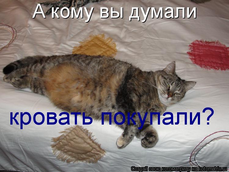 А кому вы думали кровать покупали?... Котоматрица: А кому вы думали кровать покупали?