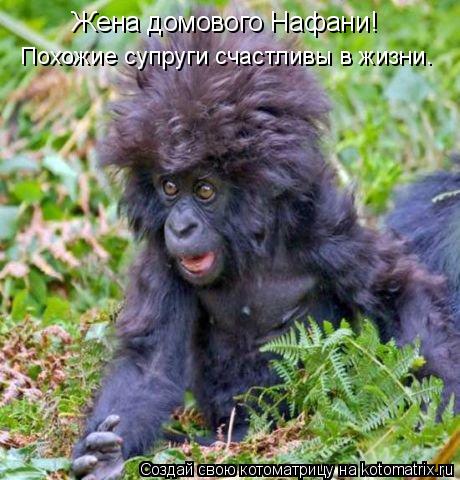 Котоматрица: Жена домового Нафани! Похожие супруги счастливы в жизни.