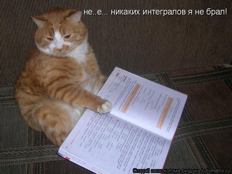 Котоматрица: не..е... никаких интегралов я не брал!