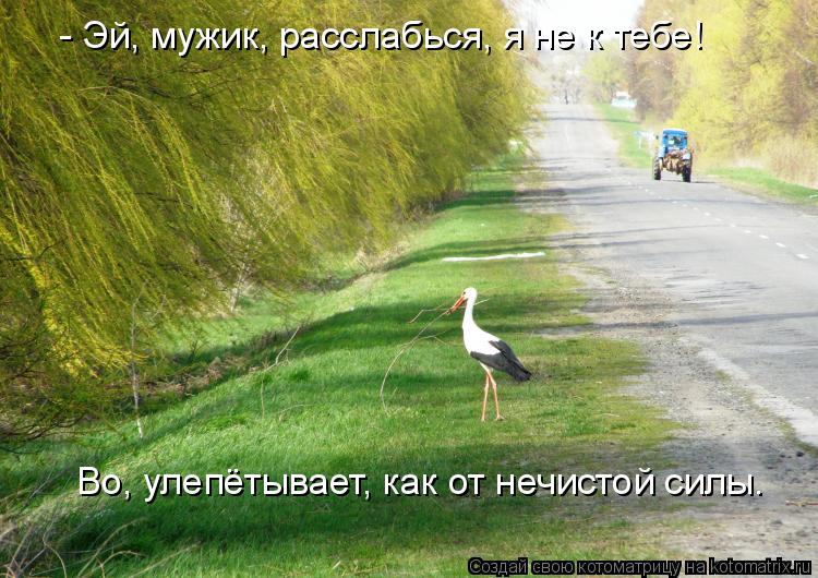Котоматрица: - Эй, мужик, расслабься, я не к тебе! Во, улепётывает, как от нечистой силы.