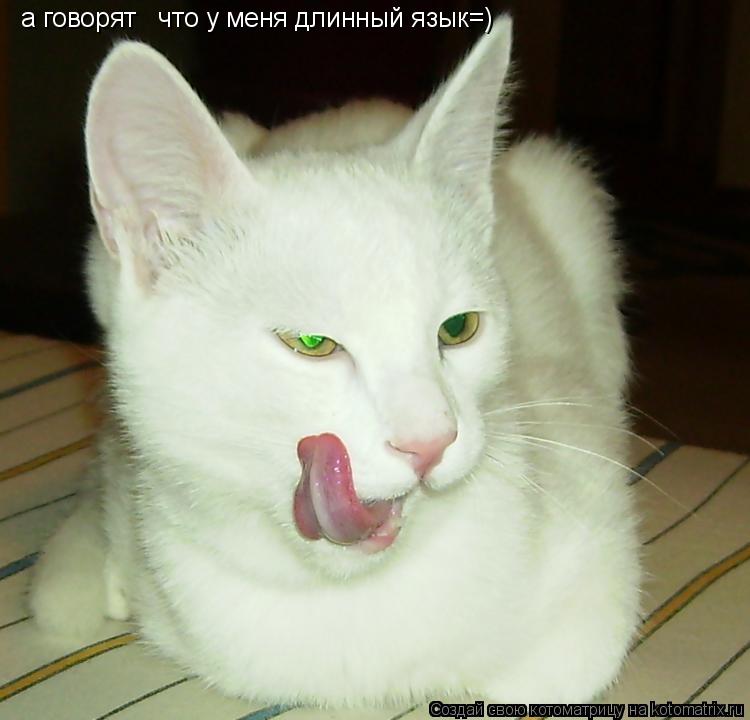 Котоматрица: а говорят   что у меня длинный язык=)