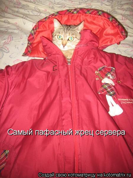 Котоматрица: Самый пафасный жрец сервера