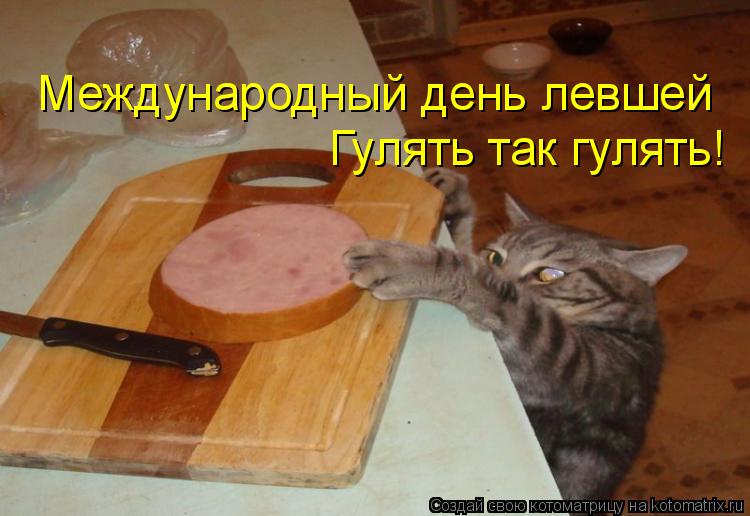 Котоматрица: Международный день левшей Гулять так гулять!