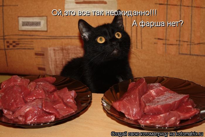 Котоматрица: Ой,это все так неожиданно!!! А фарша нет?