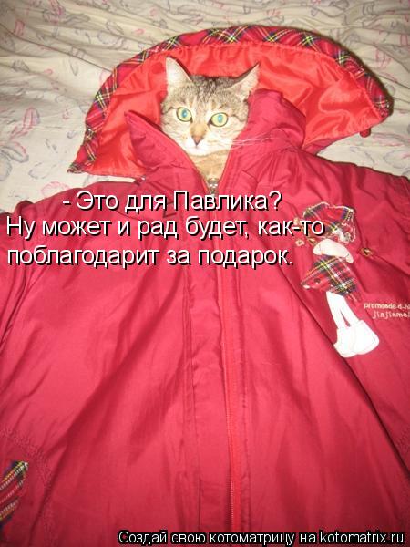 Котоматрица: - Это для Павлика? поблагодарит за подарок. Ну может и рад будет, как-то