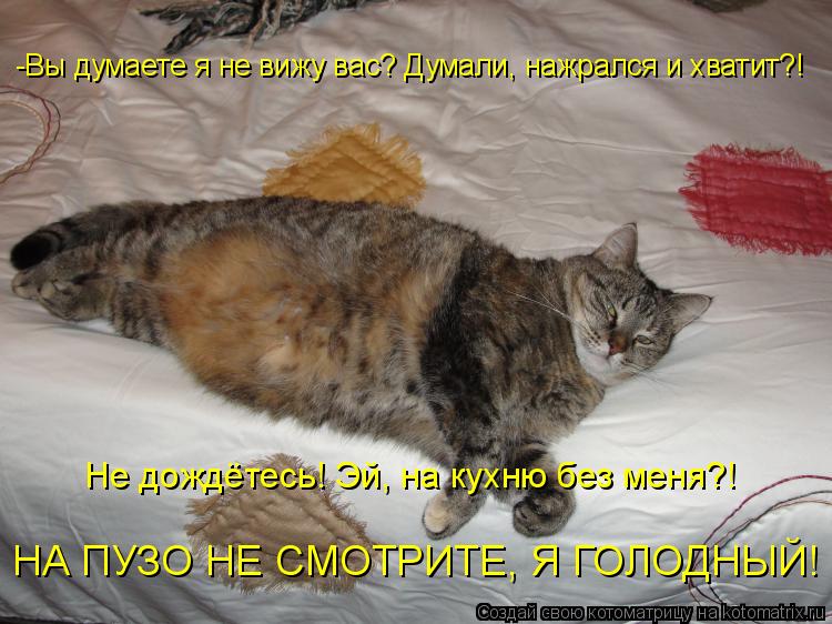 Котоматрица: -Вы думаете я не вижу вас? Думали, нажрался и хватит?! Не дождётесь! Эй, на кухню без меня?! НА ПУЗО НЕ СМОТРИТЕ, Я ГОЛОДНЫЙ!