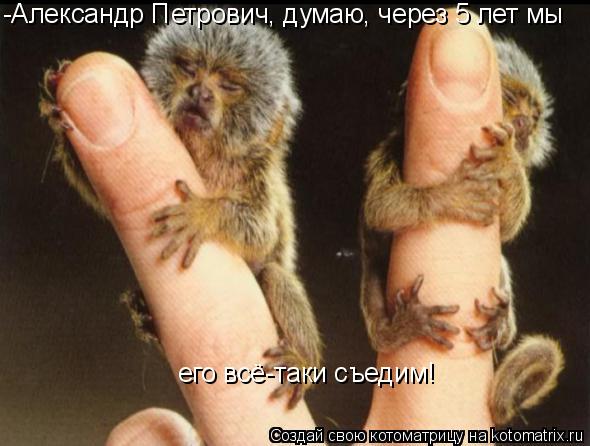 Котоматрица: -Александр Петрович, думаю, через 5 лет мы  его всё-таки съедим!