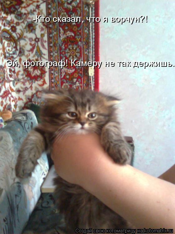 Котоматрица: -Кто сказал, что я ворчун?! Эй, фотограф! Камеру не так держишь...