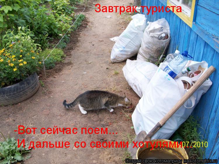 Котоматрица: Завтрак туриста -Вот сейчас поем... И дальше со своими хотулями...