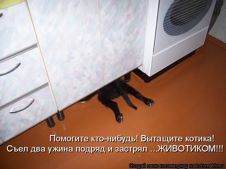 Помогите кто-нибудь! Вытащите котика! Съел два ужина подряд и застрял ...ЖИВОТИКОМ!!!... Котоматрица: Помогите кто-нибудь! Вытащите котика! Съел два ужина подряд и застрял ...ЖИВОТИКОМ!!!
