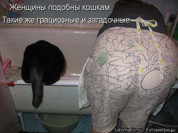 Котоматрица: Женщины подобны кошкам. Такие же грациозные и загадочные.