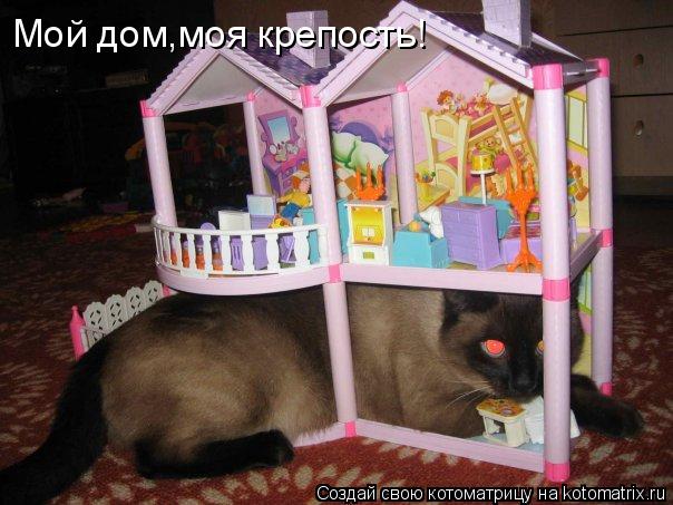 Котоматрица: Мой дом,моя крепость!