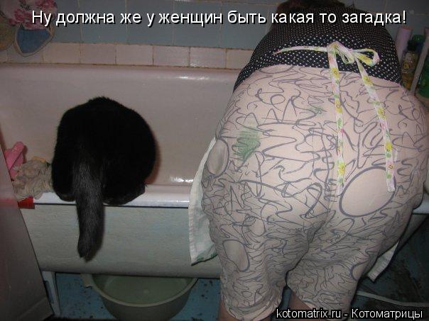 Котоматрица: Ну должна же у женщин быть какая то загадка!