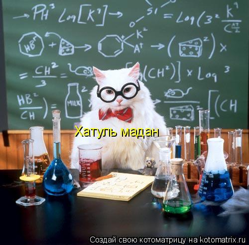 Котоматрица: Хатуль мадан