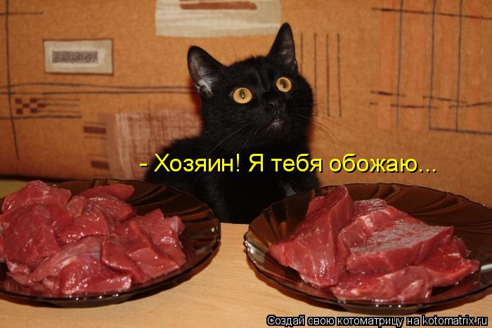 - Хозяин! Я тебя обожаю...... Котоматрица: - Хозяин! Я тебя обожаю...
