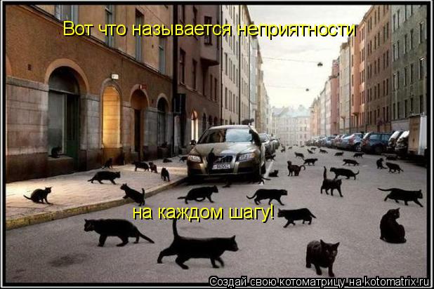 Вот что называется неприятности на каждом шагу!... Котоматрица: Вот что называется неприятности на каждом шагу!