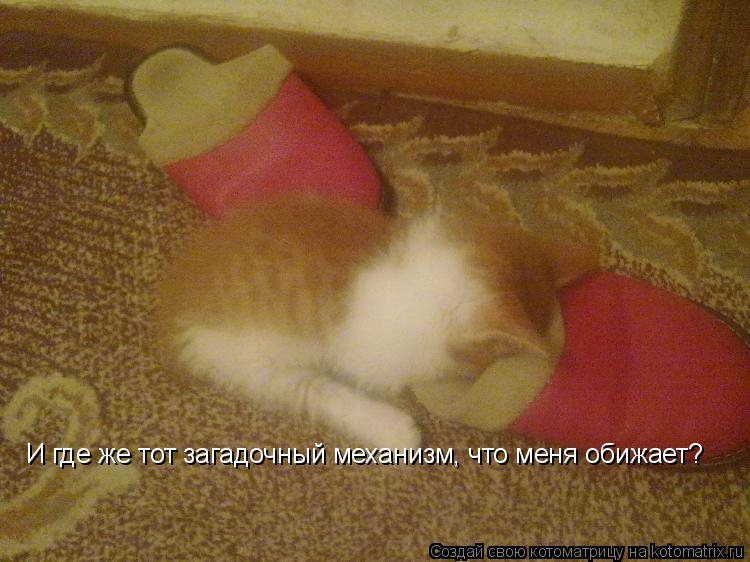 И где же тот загадочный механизм, что меня обижает И где же тот загадочный механизм, что меня обижает... Котоматрица: И где же тот загадочный механизм, что меня обижает И где же тот загадочный механизм, что меня обижает?