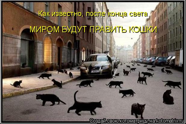 Как извесн Как известно, после конца света МИРОМ БУДУТ ПРАВИТЬ КОШКИ... Котоматрица: Как извесн Как известно, после конца света МИРОМ БУДУТ ПРАВИТЬ КОШКИ