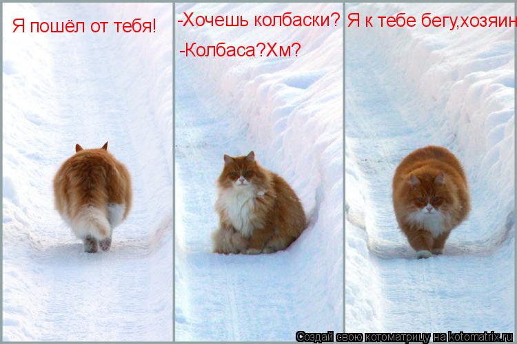-Хочешь колбаски? -Колбаса?Хм? Я к тебе бегу,хозяин! Я пошёл от тебя!... Котоматрица: -Хочешь колбаски? -Колбаса?Хм? Я к тебе бегу,хозяин! Я пошёл от тебя!