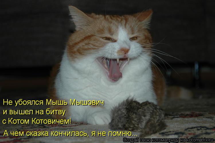 Не убоялся Мышь Мышович и вышел на битву с Котом Котовичем! А чем сказка кончилась, я не помню...... Котоматрица: Не убоялся Мышь Мышович и вышел на битву с Котом Котовичем! А чем сказка кончилась, я не помню...