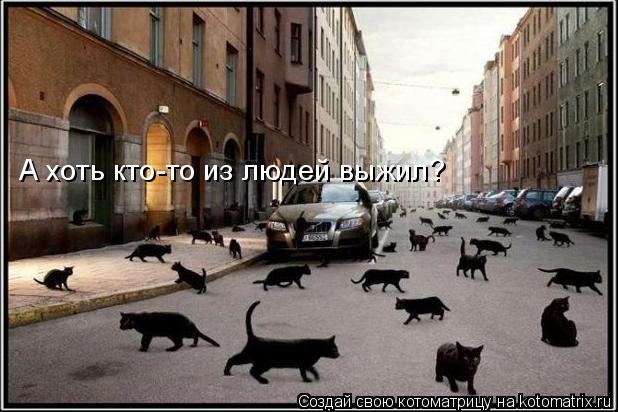 А хоть кто-то из людей выжил?... Котоматрица: А хоть кто-то из людей выжил?