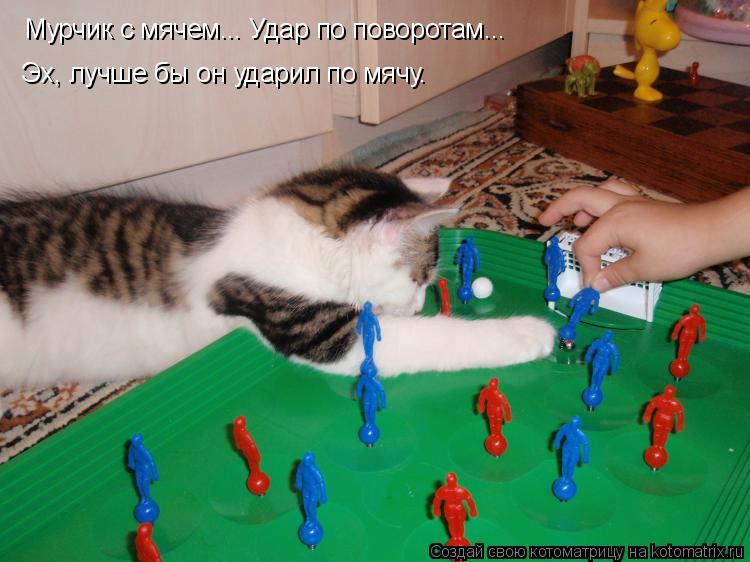 Мурчик с мячем... Удар по поворотам... Эх, лучше бы он ударил по мячу.... Котоматрица: Мурчик с мячем... Удар по поворотам... Эх, лучше бы он ударил по мячу.