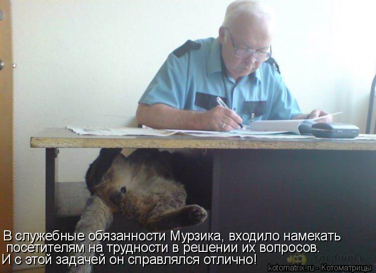 В служебные обязанности Мурзика, входило намекать посетителям на трудности в решении их вопросов. И... Котоматрица: В служебные обязанности Мурзика, входило намекать посетителям на трудности в решении их вопросов. И с этой задачей он справлялся отлично!