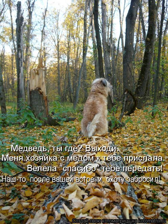 - Медведь, ты где? Выходи. Меня хозяйка с мёдом к тебе прислала. Велела "спасибо" тебе передать! Наш-... Котоматрица: - Медведь, ты где? Выходи. Меня хозяйка с мёдом к тебе прислала. Велела "спасибо" тебе передать! Наш-то, после вашей встречи, охоту забросил!
