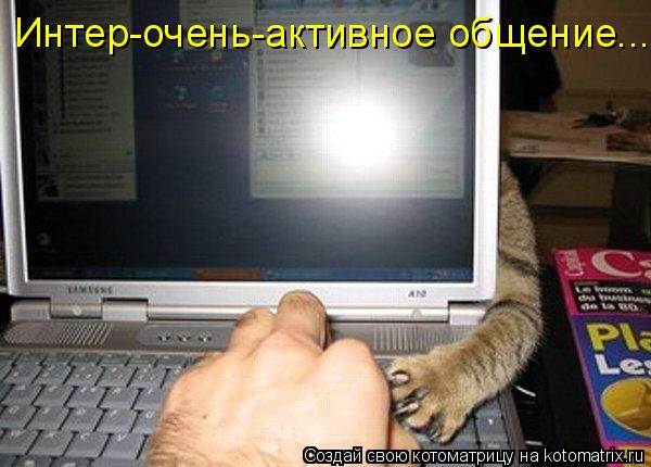Интер-очень-активное общение...... Котоматрица: Интер-очень-активное общение...