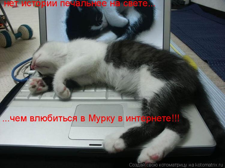 Котоматрица: нет истории печальнее на свете... ...чем влюбиться в Мурку в интернете!!!