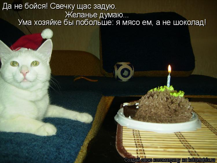 Котоматрица: Да не бойся! Свечку щас задую. Желанье думаю... Ума хозяйке бы побольше: я мясо ем, а не шоколад!