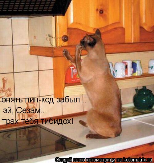 Котоматрица: опять пин-код забыл... эй, Сезам... трах тебя тибидох!