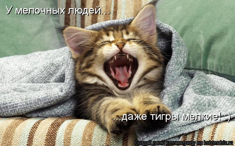 Котоматрица: У мелочных людей... ...даже тигры мелкие! :)