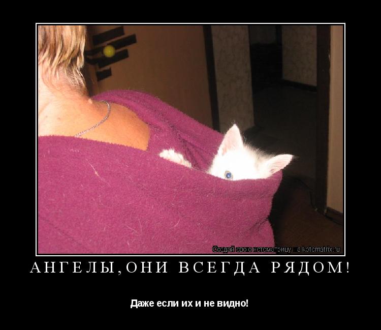 Ангелы,они всегда рядом! Даже если их и не видно!... Котоматрица: Ангелы,они всегда рядом! Даже если их и не видно!
