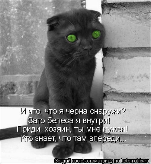 И что, что я черна снаружи? Зато белеса я внутри! Приди, хозяин, ты мне нужен! Кто знает, что там впе... Котоматрица: И что, что я черна снаружи? Зато белеса я внутри! Приди, хозяин, ты мне нужен! Кто знает, что там впереди...