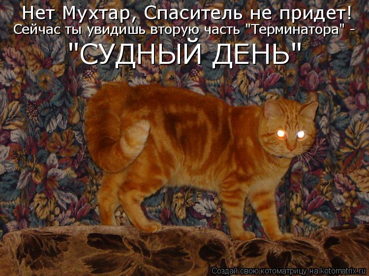Нет Мухтар, Спаситель не придет! Сейчас ты увидишь вторую часть "Терминатора" - "СУДНЫЙ ДЕНЬ"... Котоматрица: Нет Мухтар, Спаситель не придет! Сейчас ты увидишь вторую часть "Терминатора" - "СУДНЫЙ ДЕНЬ"