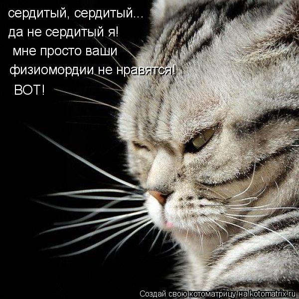 сердитый, сердитый... да не сердитый я! физиомордии не нравятся! мне просто ваши BOT!... Котоматрица: сердитый, сердитый... да не сердитый я! физиомордии не нравятся! мне просто ваши BOT!