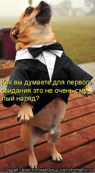 Как вы думаете,для первого свидания это не очень сме- лый наряд?... Котоматрица: Как вы думаете,для первого свидания это не очень сме- лый наряд?