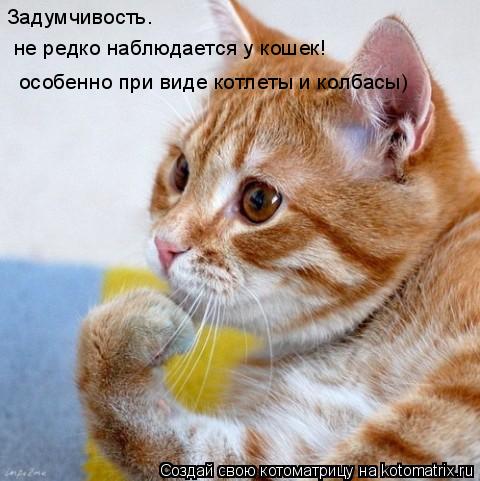 Задумчивость. не редко наблюдается у кошек! особенно при виде котлеты и колбасы)... Котоматрица: Задумчивость. не редко наблюдается у кошек! особенно при виде котлеты и колбасы)