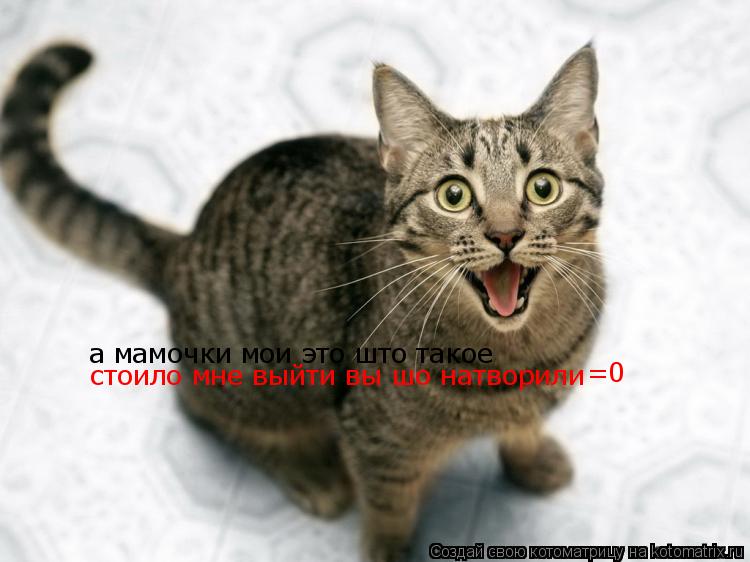 а мамочки мои это што такое стоило мне выйти вы шо натворили =0... Котоматрица: а мамочки мои это што такое стоило мне выйти вы шо натворили =0