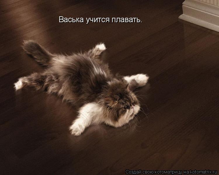 Васька учится плавать.... Котоматрица: Васька учится плавать.