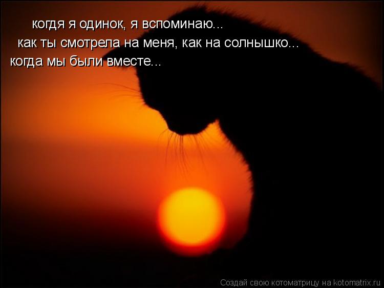 когдя я одинок, я вспоминаю... как ты смотрела на меня, как на солнышко... когда мы были вместе...... Котоматрица: когдя я одинок, я вспоминаю... как ты смотрела на меня, как на солнышко... когда мы были вместе...