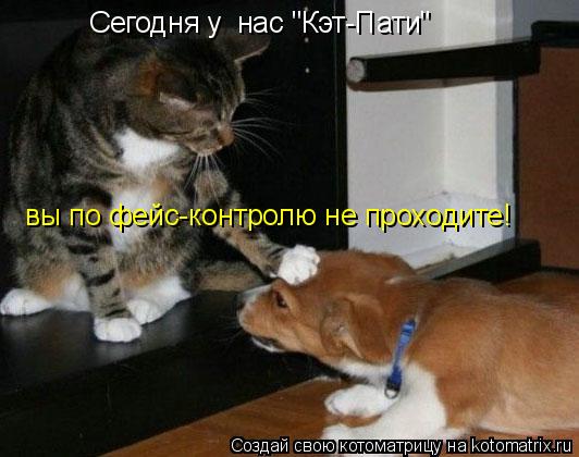 Сегодня у нас "Кэт-Пати" вы по фейс-контролю не проходите!... Котоматрица: Сегодня у нас "Кэт-Пати" вы по фейс-контролю не проходите!