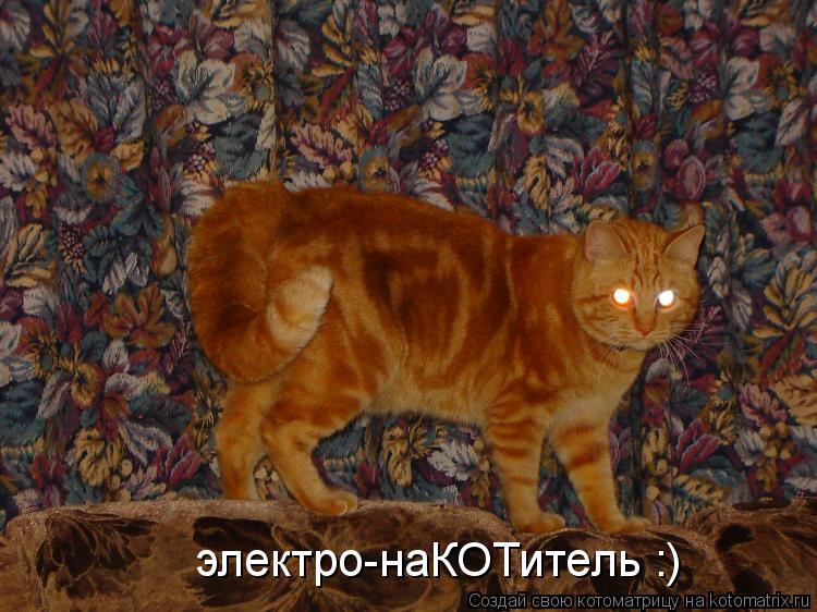 электро-наКОТитель :)... Котоматрица: электро-наКОТитель :)