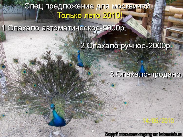 Спец предложение для москвичей. Только лето 2010! 1.Опахало автоматическое-5000р. 2.Опахало ручное-20... Котоматрица: Спец предложение для москвичей. Только лето 2010! 1.Опахало автоматическое-5000р. 2.Опахало ручное-2000р. 3.Опахало-продано.