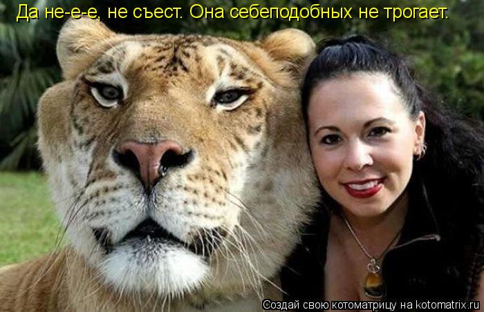 Да не-е-е, не съест. Она себеподобных не трогает.... Котоматрица: Да не-е-е, не съест. Она себеподобных не трогает.